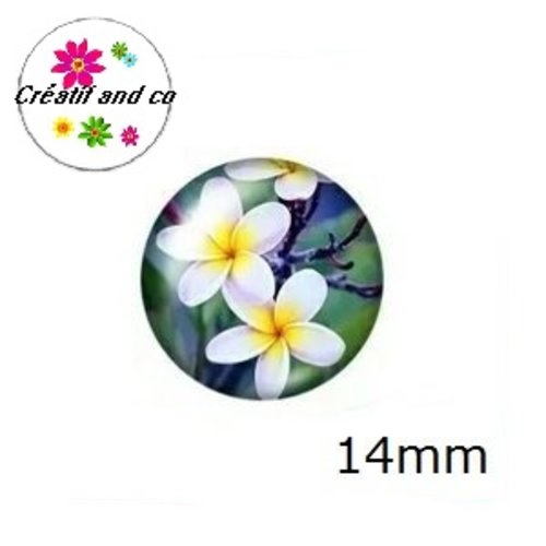 X2 cabochons fleuris 14mm