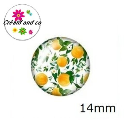 X2 cabochons fruit 14mm