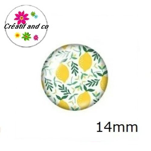 X2 cabochons fruit 14mm