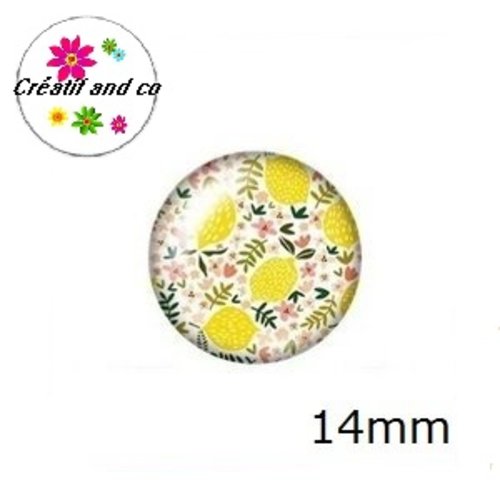 X2 cabochons fruit 14mm