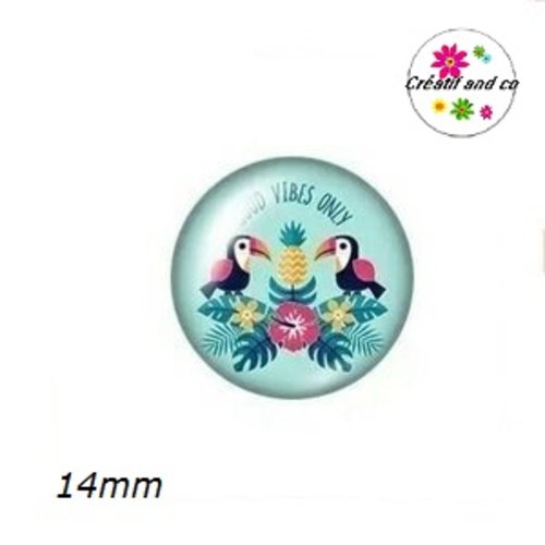 X2 cabochons toucan 14mm