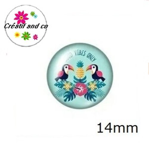 X2 cabochons toucan 14mm