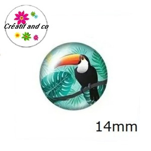 X2 cabochons toucan 14mm
