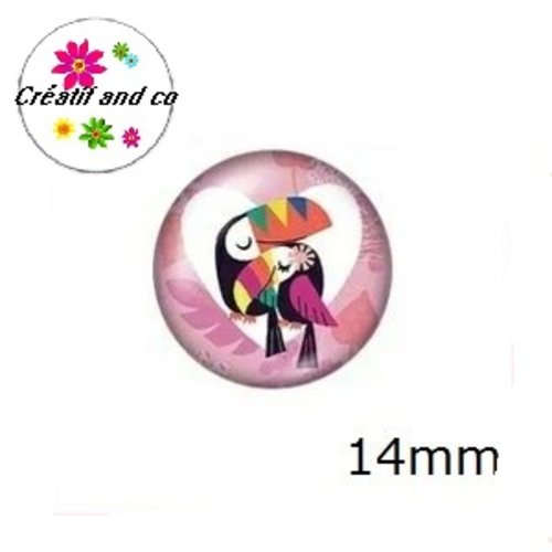 X2 cabochons toucan 14mm