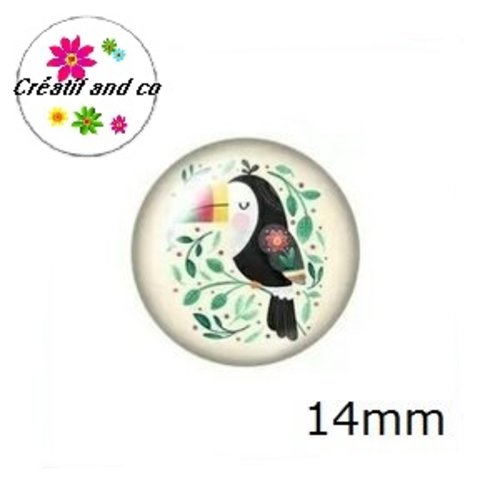X2 cabochons toucan 14mm