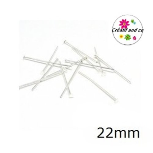 X50 tiges tête plate argentées 22mm