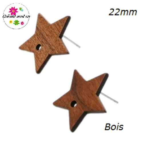 Puce oreille étoile bois 22mm