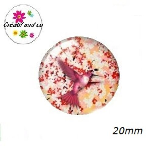 Cabochon colibri 20mm