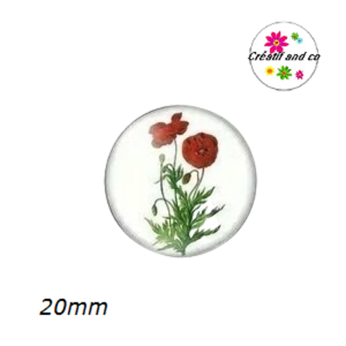 Cabochon coquelicot  20mm