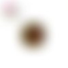 Bouton pression coccinelle