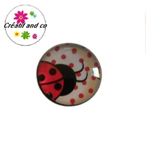 Bouton pression coccinelle