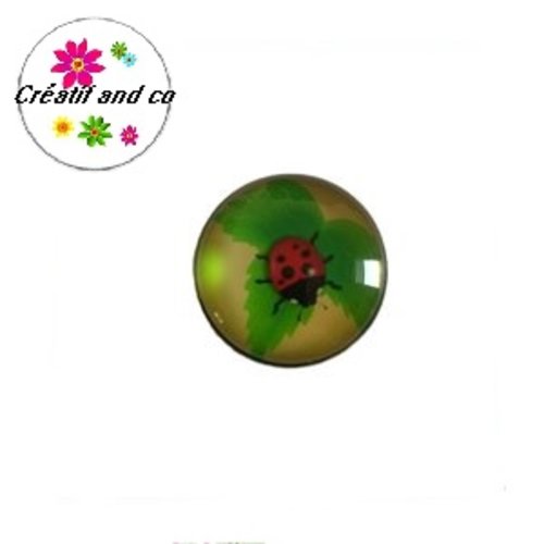 Bouton pression coccinelle