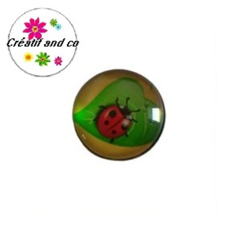 Bouton pression coccinelle