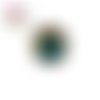Bouton pression coccinelle bleue