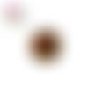 Bouton pression coccinelle