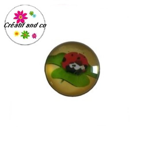 Bouton pression coccinelle