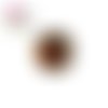 Bouton pression coccinelle