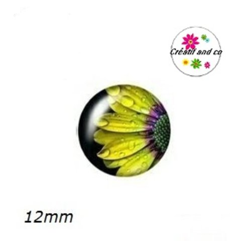 X2 cabochons demi-tournesol 12mm