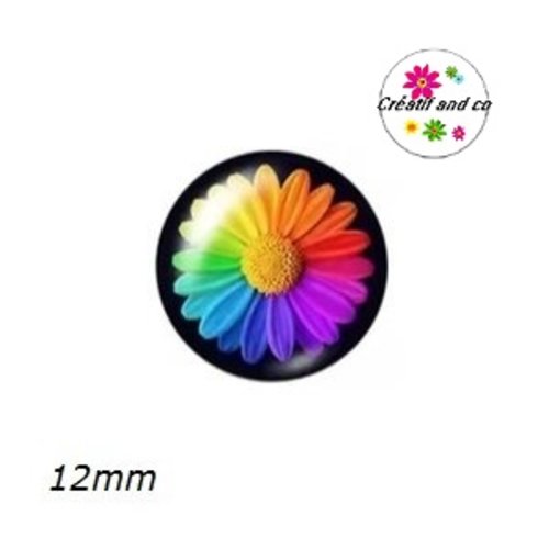 X2 cabochons marguerite colorée 12mm