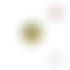 Bouton en bois vernis motif feuille 18mm