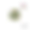 Cabochon feuille tropicale 20mm