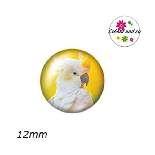 X2 cabochons perroquet 12mm