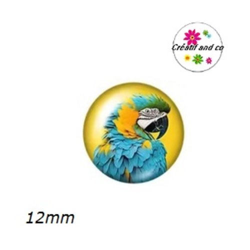 X2 cabochons perroquet 12mm