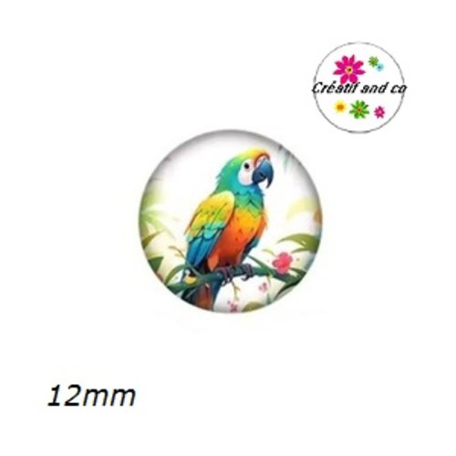 X2 cabochons perroquet 12mm