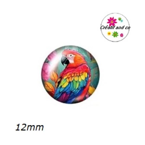 X2 cabochons perroquet 12mm