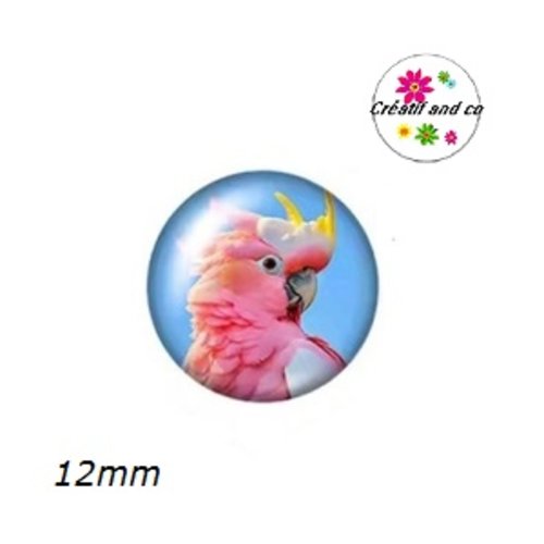 X2 cabochons perroquet 12mm