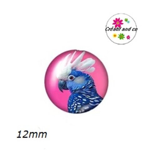 X2 cabochons perroquet 12mm