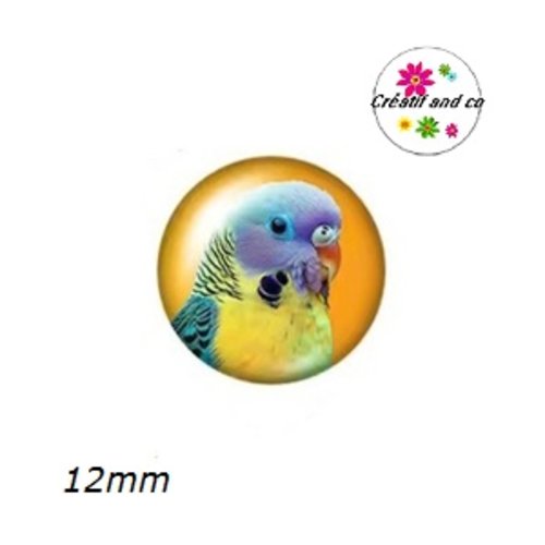 X2 cabochons perroquet 12mm