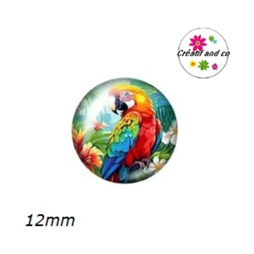 X2 cabochons perroquet 12mm
