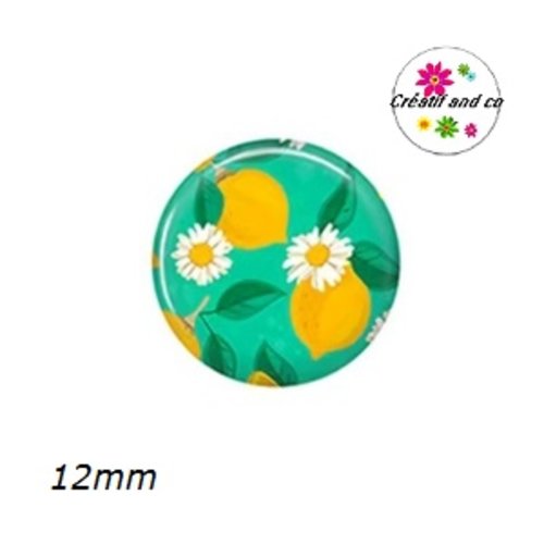 X2 cabochons fruit 12mm