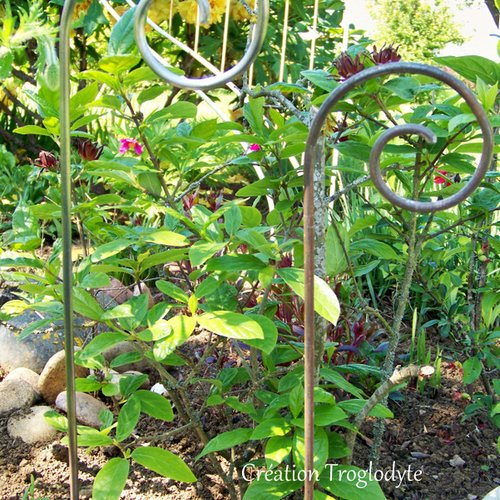 Tuteur pour plante, en forme de crosse 50 cm, diamètre 4 mm, décoration de jardin, aménagement de jardin