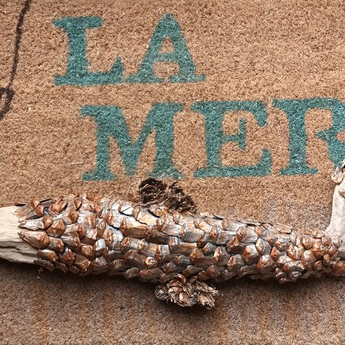 Création artistique sur bois flotté; poisson teinte cuivrée