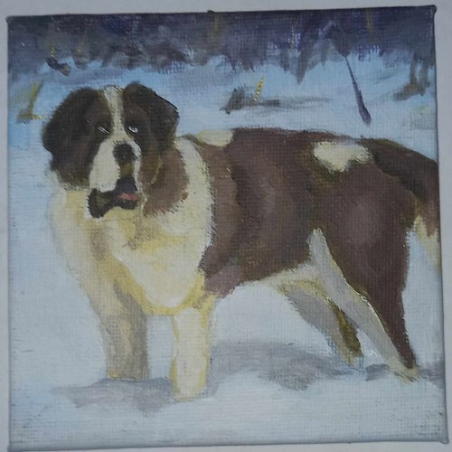 Saint bernard dans la neige