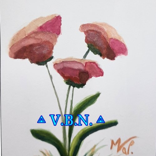 Aquarelles fleurs des champs, modèles aux choix