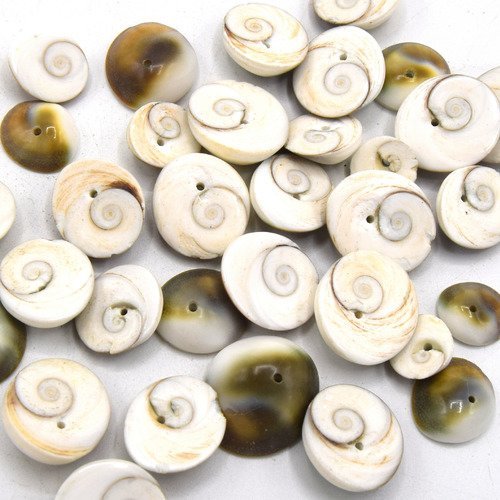 Lot de 20 perles de coquillages en spirale puka - troué au centre 
