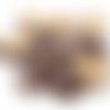X10 gros cauris coquillage naturel dos ouvert couleur marron environ 26~35 mm 