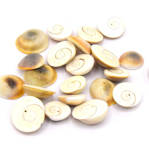 X10 perles de coquillages plat rond couleur chameau percé au centre