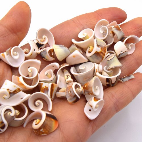 Lot de 20 perles coquillages puka spirale coupé environ 10~13 mm 