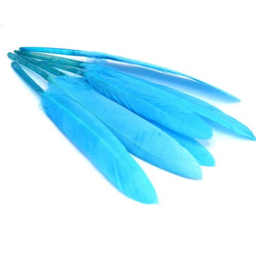 X20 plumes d'oie bleu ciel -