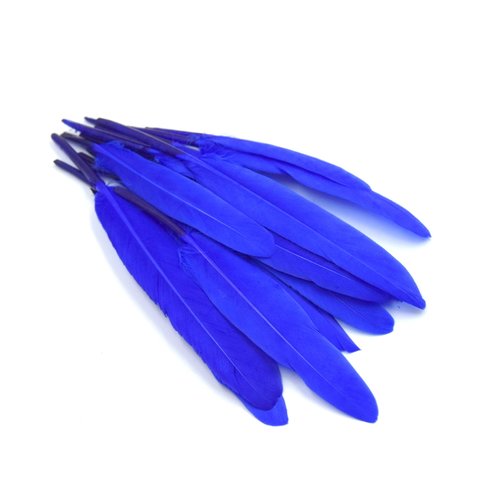 X20 plumes d'oie bleu marine