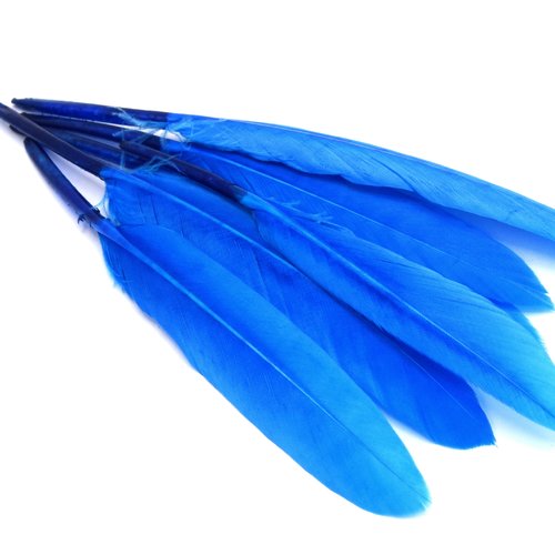 X20 plumes d'oie bleu marine