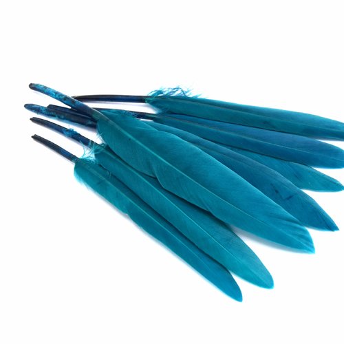 X20 plumes bleu canard