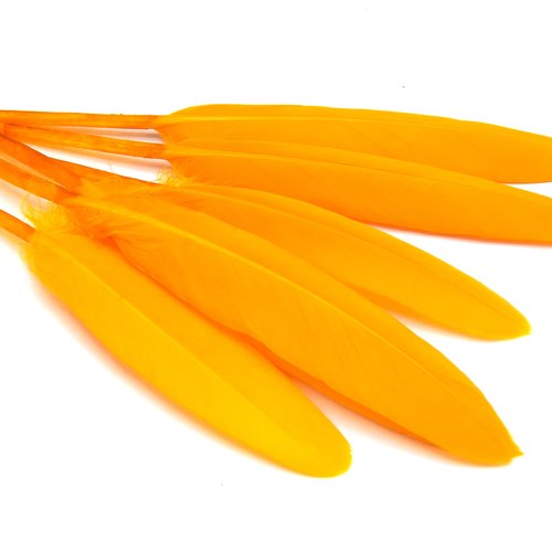 X20 plumes naturelles teint orange-