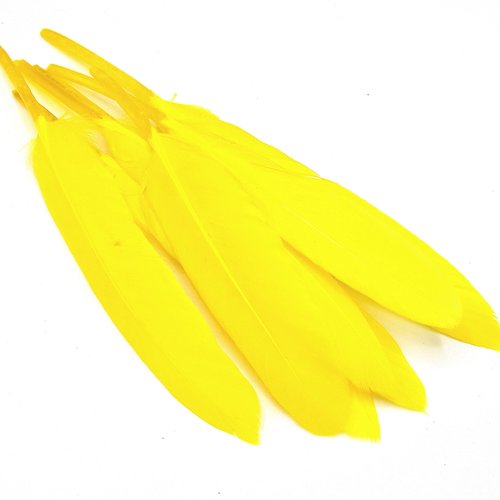 X20 plumes naturelles teint jaune