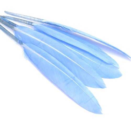 X20 plumes naturelles teint bleu ciel