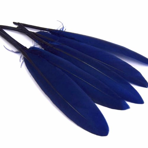 X20 plumes naturelles teint bleu marine